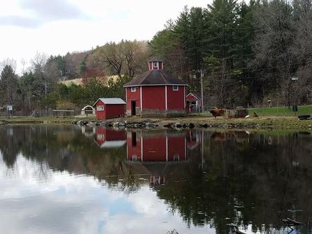 barn and pond