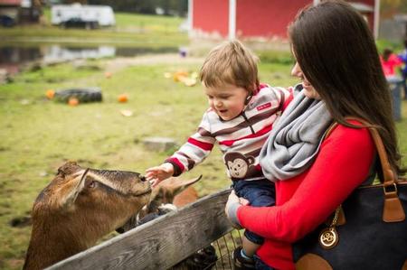  - Family Barnyard Goats