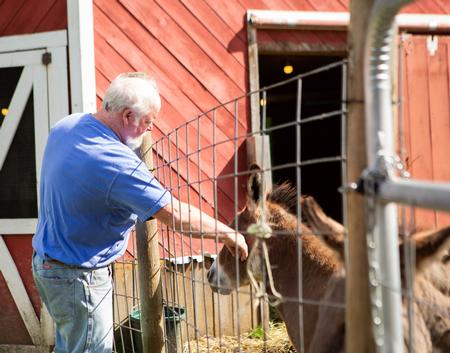 Petting the Goats
