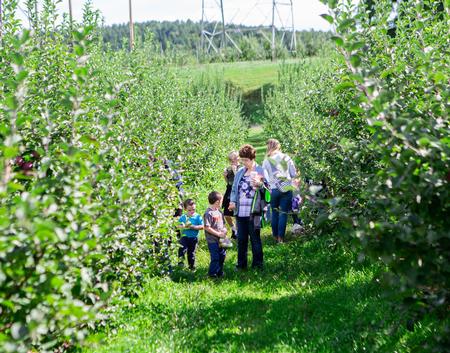 Walking Through the Orchard
