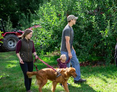 Walking Through the Orchard