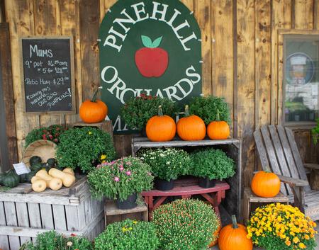 Pine Hill Orchards Storefront
