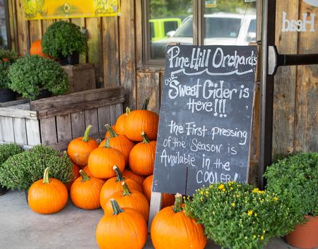 Pine Hill Orchards Pumpkins