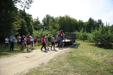 loading wagon