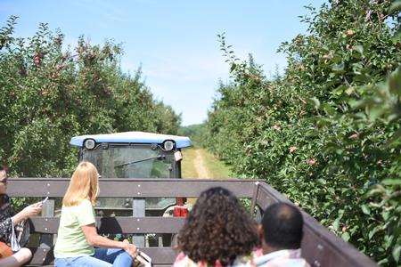 wagon ride